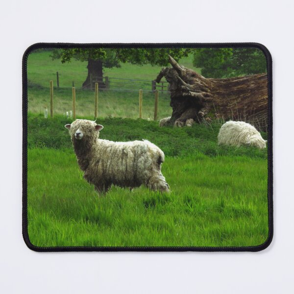 Item preview, A Very Happy Sheep designed and sold by wiggyofipswich.
