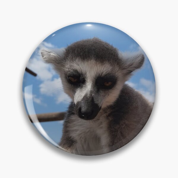 Item preview, Lemur in Athens Zoo designed and sold by ConzyBelle.
