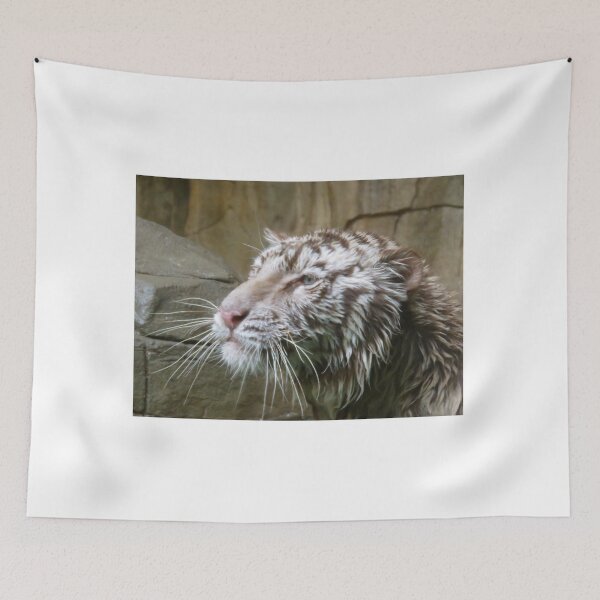 Item preview, White Tiger After A Swim 1 designed and sold by exploramum.