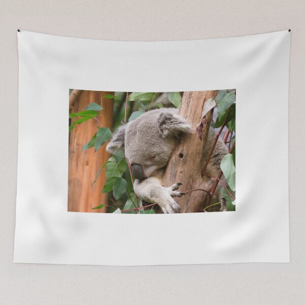 Item preview, Australian Koala Asleep In The Tree designed and sold by exploramum.