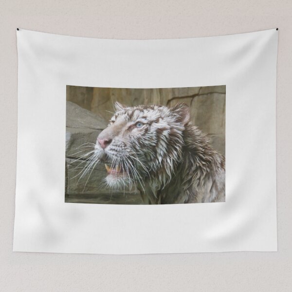 Item preview, White Tiger After A Swim 1 designed and sold by exploramum.