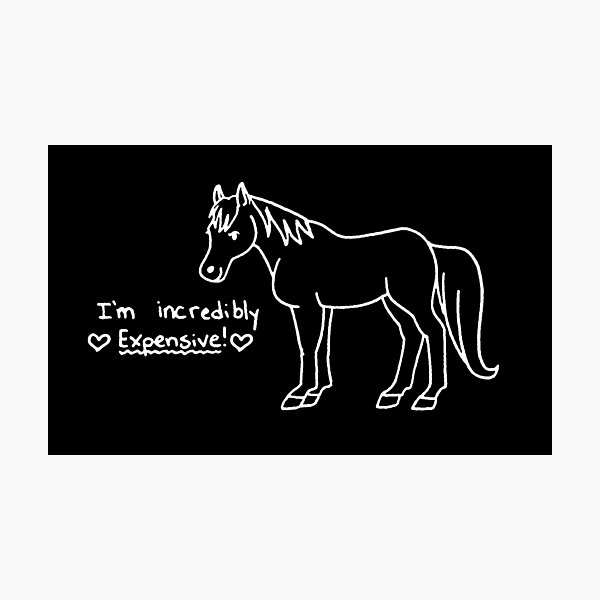 Horses are Expensive Photographic Print