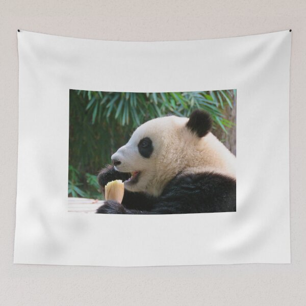 Item preview, Don't Eat With your Mouth Open - Panda - China Guangzhou designed and sold by exploramum.