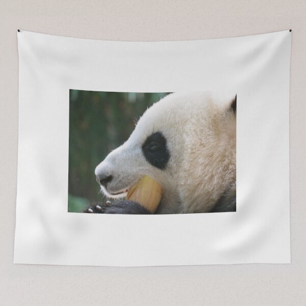 Item preview, Munchies For a Panda - China Panda Close up - Guangzhou designed and sold by exploramum.