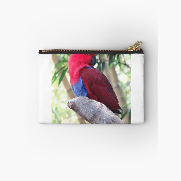 Artikelvorschau, Eclectus Roratus - heller roter Vogel entworfen und verkauft von exploramum.