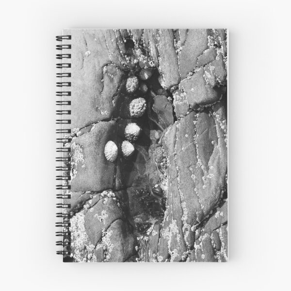 Item preview, Pool in Beach Rock Rathmullan Black and White Vertical designed and sold by eddiebarronshop.