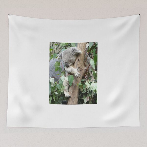 Item preview, Australian Koala Asleep In the Gum Tree designed and sold by exploramum.