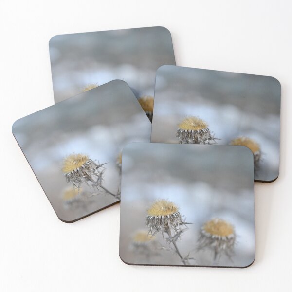 Item preview, dried flowers in the Southern Alps (France) designed and sold by Shop-Oceania.