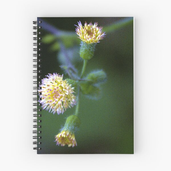 Item preview, Tassel Flowers designed and sold by MercerImages.