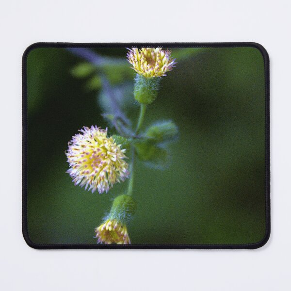 Item preview, Tassel Flowers designed and sold by MercerImages.