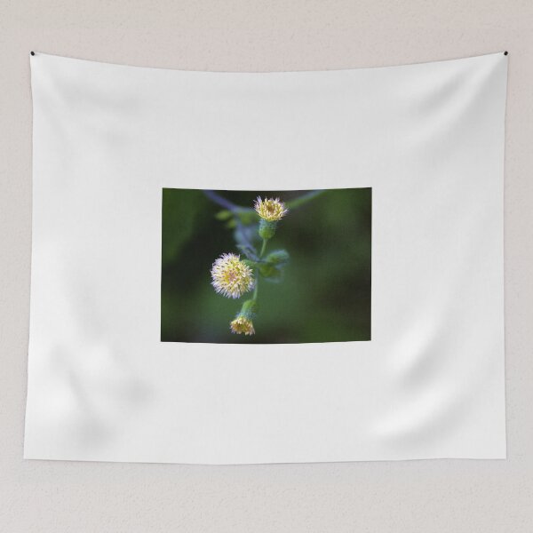 Item preview, Tassel Flowers designed and sold by MercerImages.