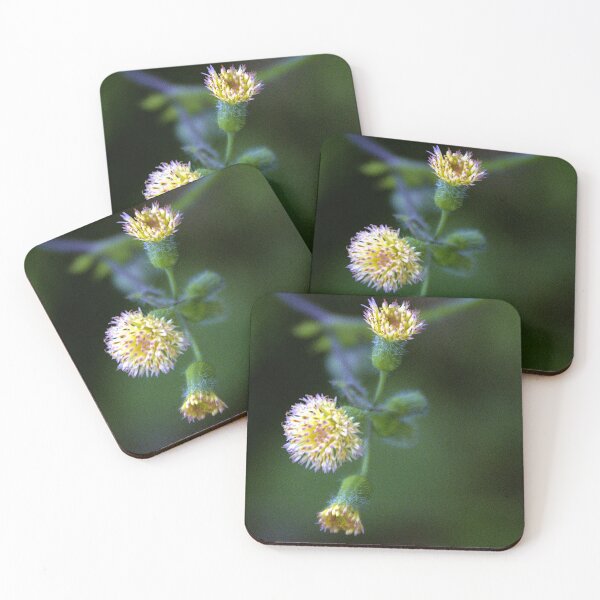 Item preview, Tassel Flowers designed and sold by MercerImages.