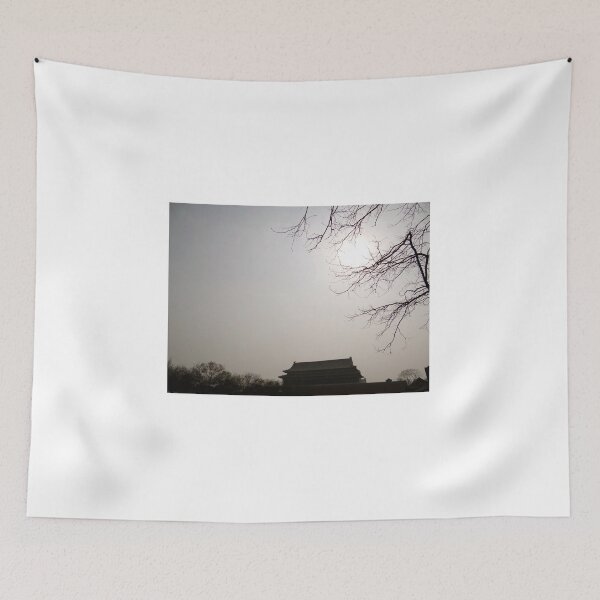 Item preview, Monochrome - Fobidden City On a Foggy Day - Beijing China designed and sold by exploramum.