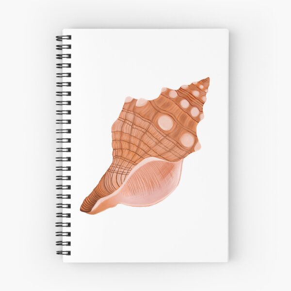 Item preview, Cone Shell designed and sold by Amanda Cherutte.