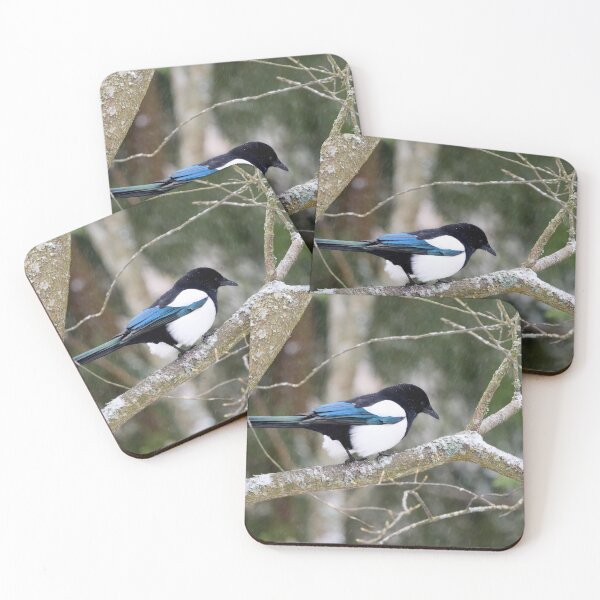Item preview, The last snow of the spring. Eurasian magpie designed and sold by Jouko Lehto Photography.