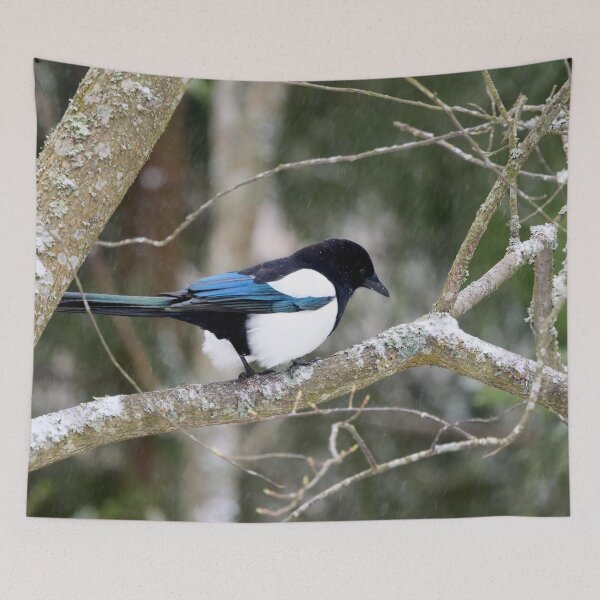Item preview, The last snow of the spring. Eurasian magpie designed and sold by Jouko Lehto Photography.
