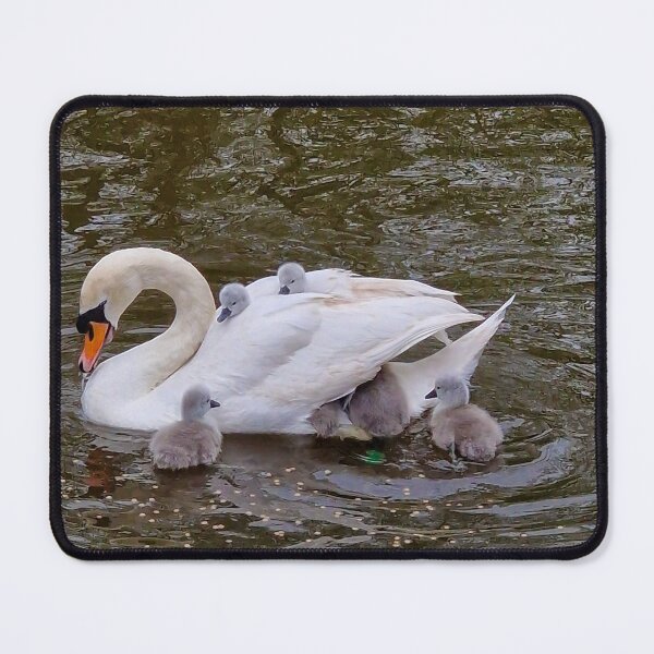 Item preview, Hitching a Ride designed and sold by Wendy Williams.