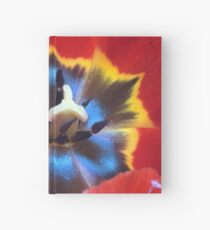Macro tulip Hardcover Journal