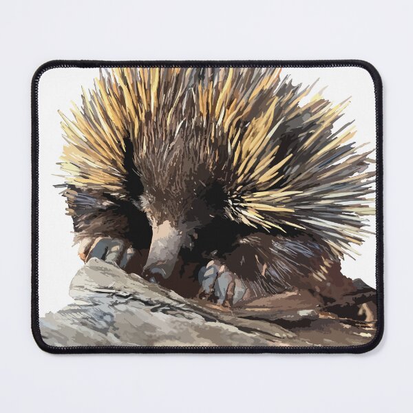Item preview, Echidna foraging  designed and sold by Blepo78.