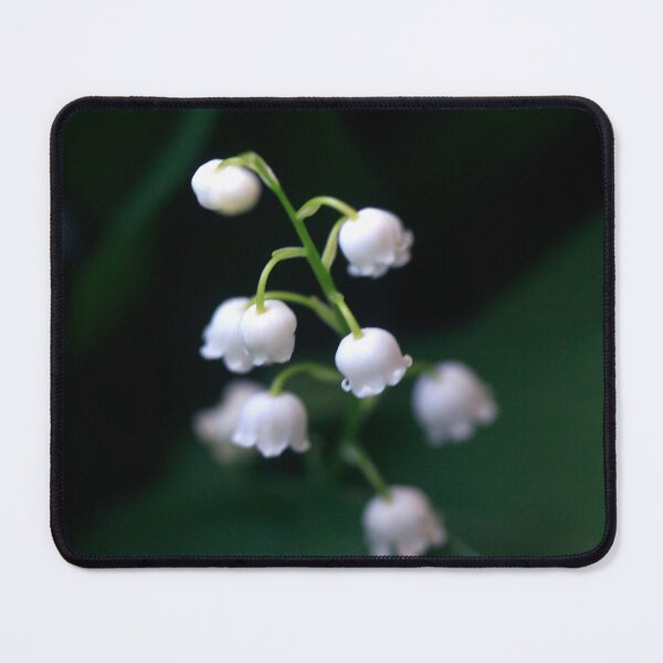 Item preview, White lily-of-the-valley on nature background designed and sold by olena2552.