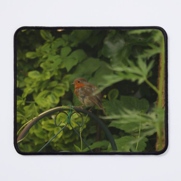 Item preview, Baby Robin designed and sold by Mark.I.F Jarvis.