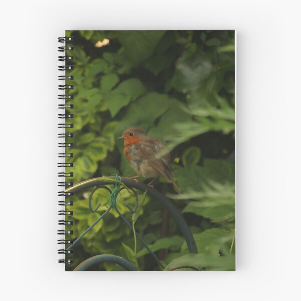 Item preview, Baby Robin designed and sold by Mark.I.F Jarvis.