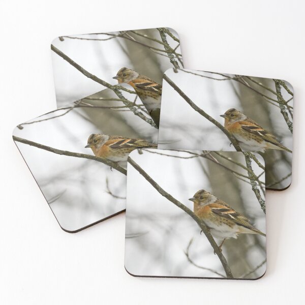Item preview, Where is the spring. Brambling designed and sold by Jouko Lehto Photography.