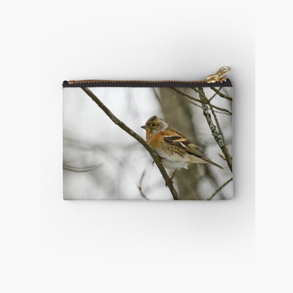 Item preview, Where is the spring. Brambling designed and sold by Jouko Lehto Photography.