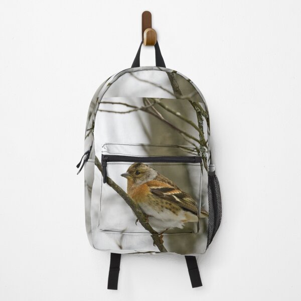Item preview, Where is the spring. Brambling designed and sold by Jouko Lehto Photography.