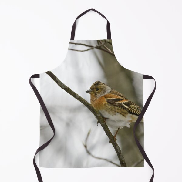 Item preview, Where is the spring. Brambling designed and sold by Jouko Lehto Photography.