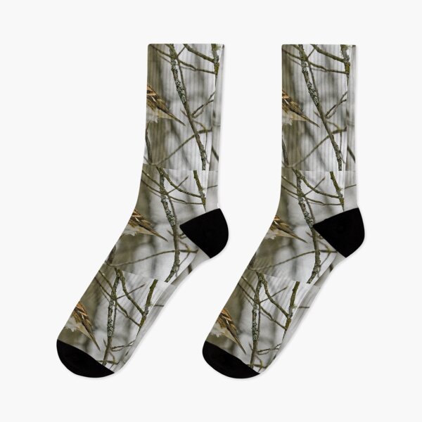 Item preview, Where is the spring. Brambling designed and sold by Jouko Lehto Photography.