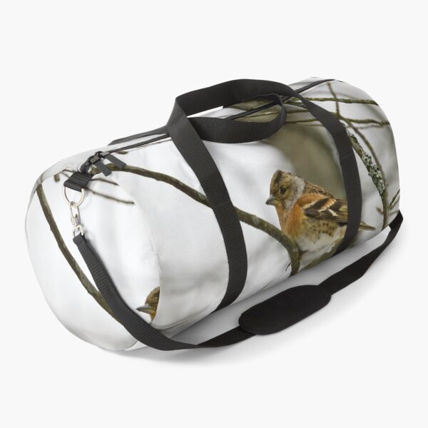 Item preview, Where is the spring. Brambling designed and sold by Jouko Lehto Photography.