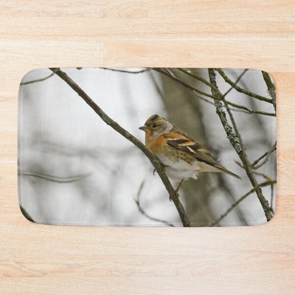 Item preview, Where is the spring. Brambling designed and sold by Jouko Lehto Photography.