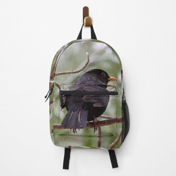 Item preview, Snowdrops on black. Eurasian blackbird designed and sold by Jouko Lehto Photography.