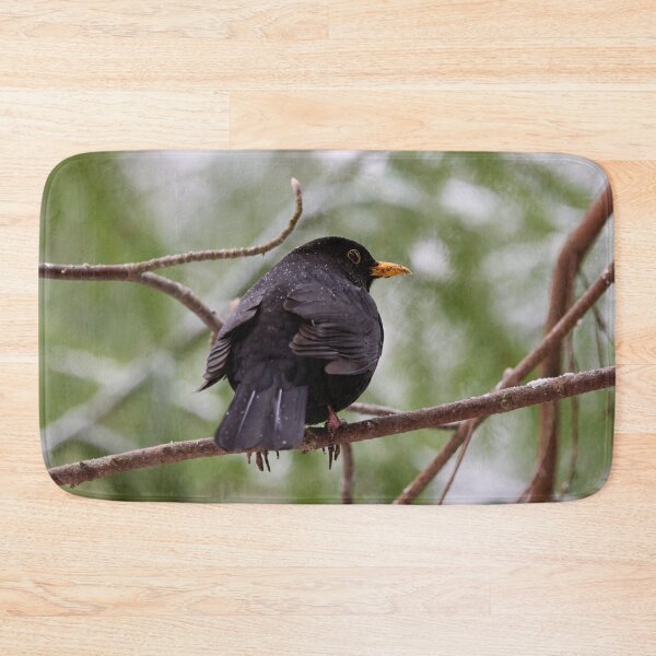 Item preview, Snowdrops on black. Eurasian blackbird designed and sold by Jouko Lehto Photography.