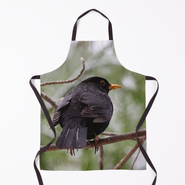 Item preview, Snowdrops on black. Eurasian blackbird designed and sold by Jouko Lehto Photography.