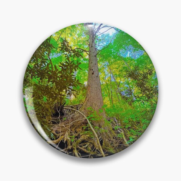 Item preview, Towering Tre With Exposed Roots in Appalachia designed and sold by CrystalWillette.