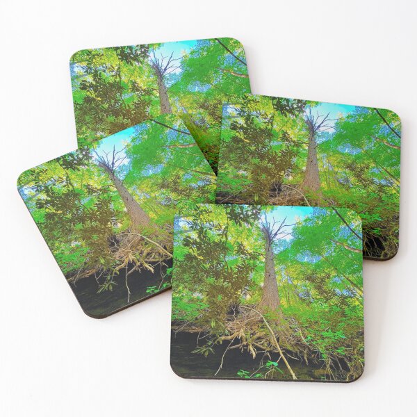 Item preview, Towering Tre With Exposed Roots in Appalachia designed and sold by CrystalWillette.