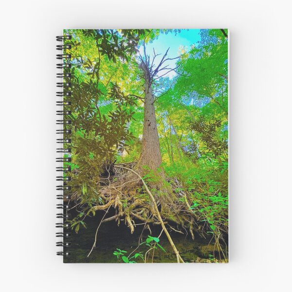 Item preview, Towering Tre With Exposed Roots in Appalachia designed and sold by CrystalWillette.