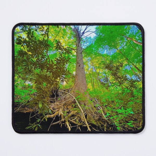 Item preview, Towering Tre With Exposed Roots in Appalachia designed and sold by CrystalWillette.