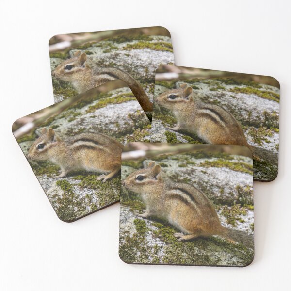 Item preview, Chipmunk on Patrol designed and sold by Tim Dusenberry.