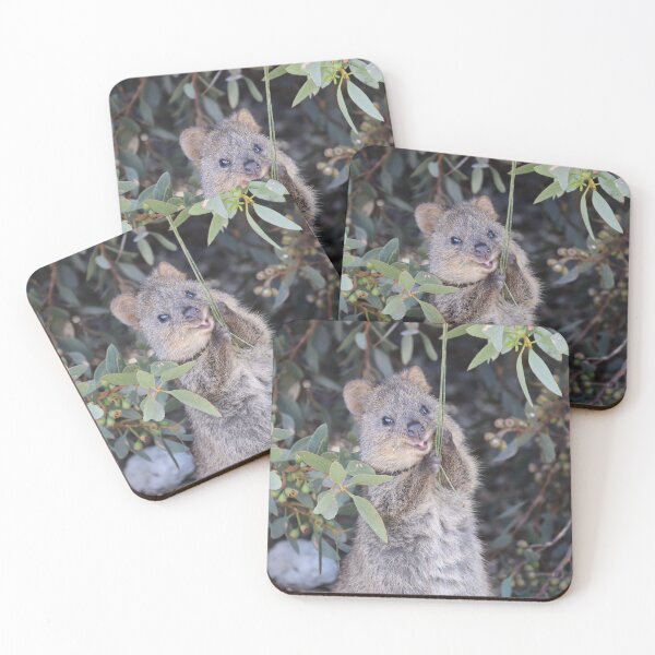 Item preview, Quokka, the smiling kangaroo! designed and sold by joanchu.