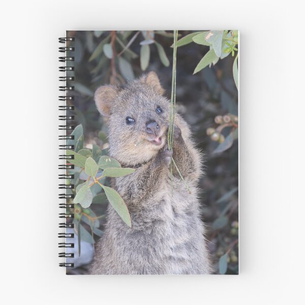 Item preview, Quokka, the smiling kangaroo! designed and sold by joanchu.