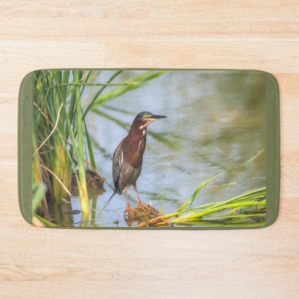 Item preview, Green Heron Standing Tall designed and sold by Debra Martz.