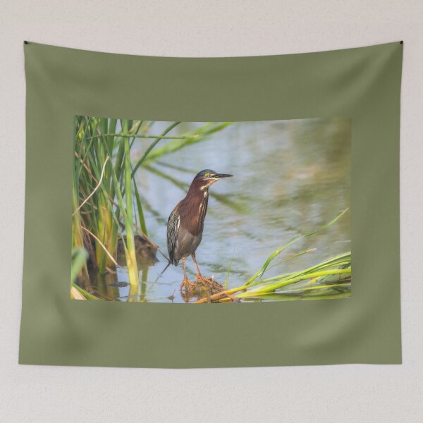 Item preview, Green Heron Standing Tall designed and sold by Debra Martz.