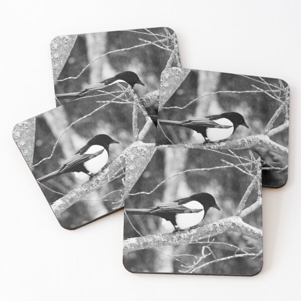 Item preview, The last snow of the spring. Eurasian magpie bw designed and sold by Jouko Lehto Photography.