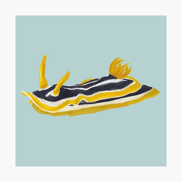 Item preview, Nudibranch - sea slug - Chromodoris africana - sea green designed and sold by Poulpimousse.