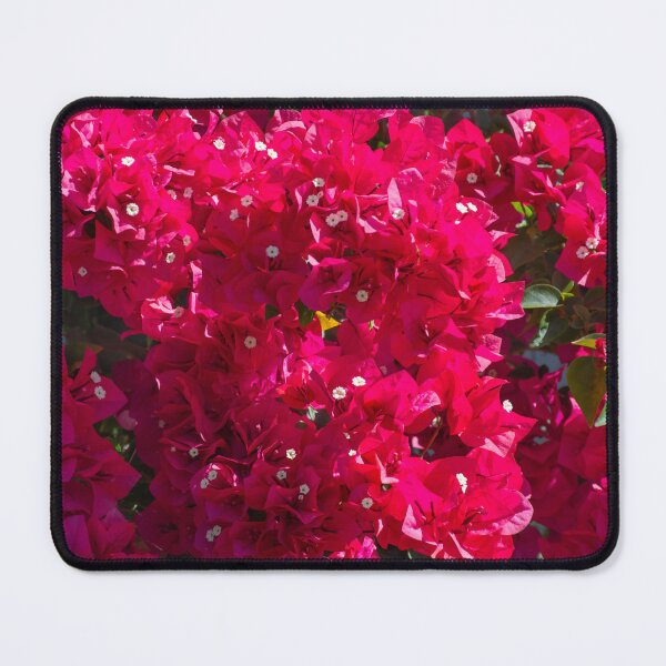 Item preview, Great Bougainvillea designed and sold by Zina Stromberg.