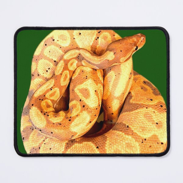 Item preview, Ball Python designed and sold by ontological.