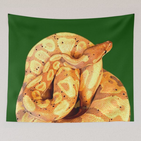 Item preview, Ball Python designed and sold by ontological.